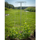 Bean Tower &ndash; 60" Cages & Fences