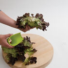 Salanova&reg; Cutter Harvest Knives