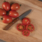 Red Torch Specialty Tomatoes