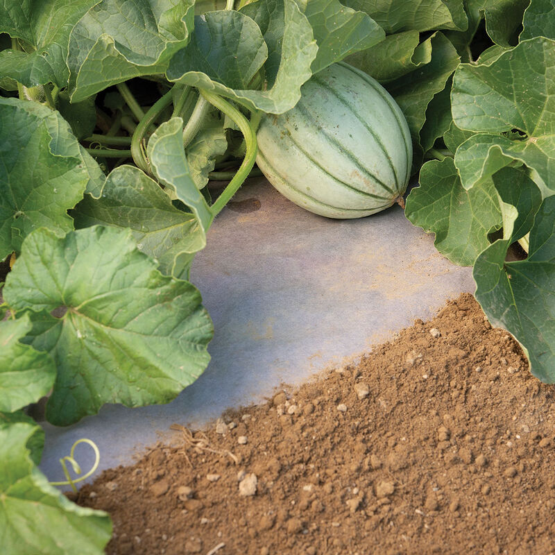 WeedGuardPlus&reg; Paper Mulch &ndash; 48" x 100' Biodegradable & Compostable Mulch