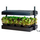 Growlight Garden Seed Starter Kits