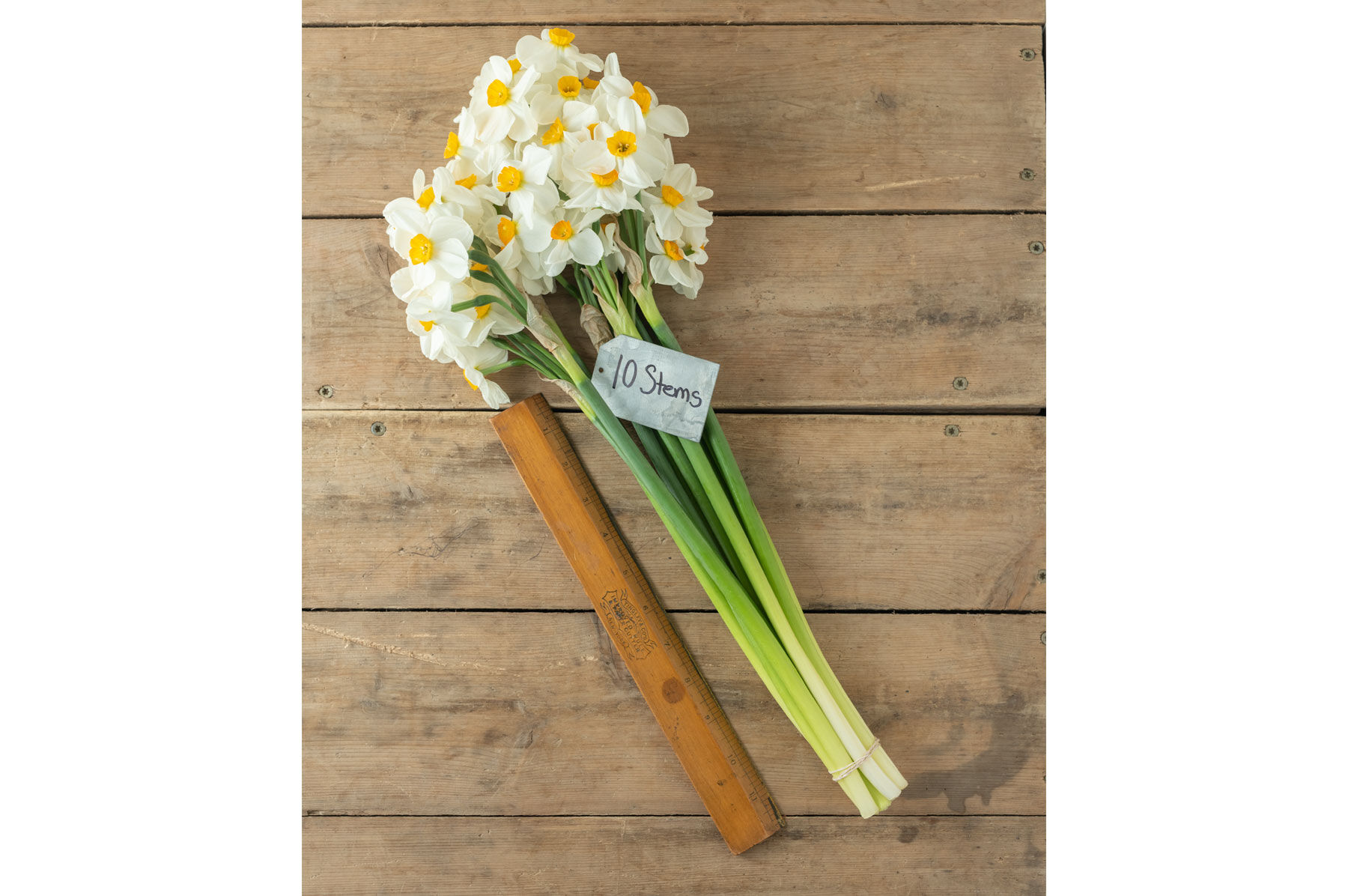 Geranium Narcissus (Daffodil)