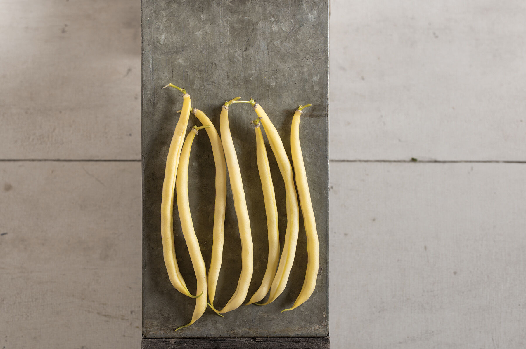 Rocdor Bush Beans