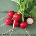 Annabel Round Radishes