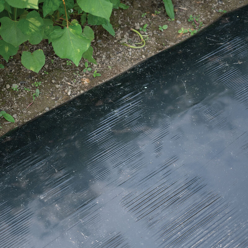 Solar Shrink&reg; &ndash; 4' x 2,500' Mulch Films