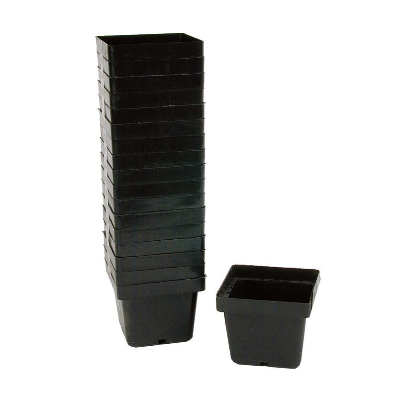 Mini Square Plastic Pots &ndash; 540 Count Plastic Pots