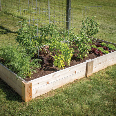 Cedar Raised Garden Bed &ndash; 4' x 8' Raised Beds & Planters
