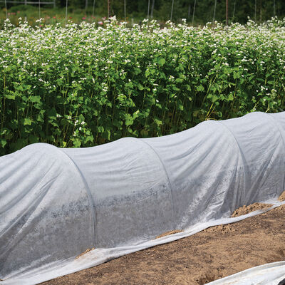 Johnny's DuraSpun&reg; 55 &ndash; 7' x 1,000' DuraSpun&reg;