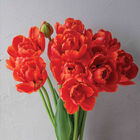 Icoon Tulips