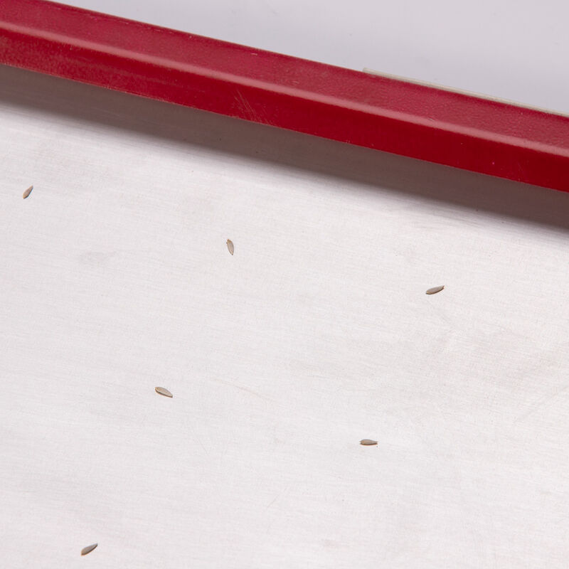 Seed Plate C72 Seed Starting Supplies