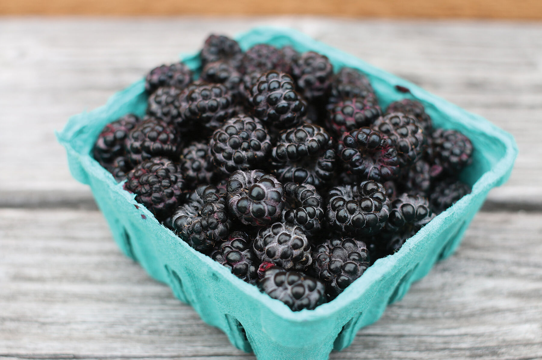 Jewel Raspberry