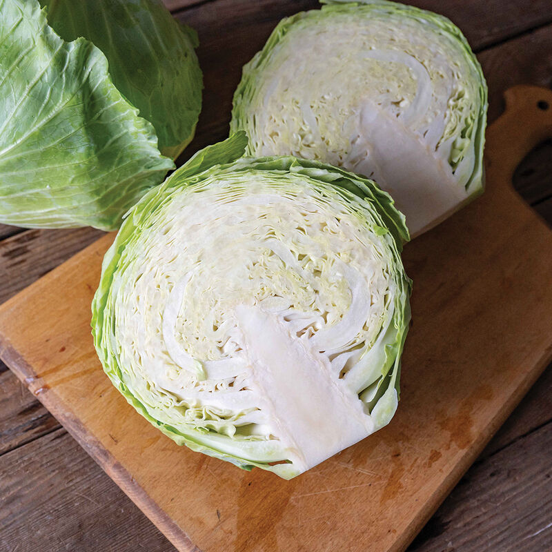 Conqueror Fresh Market Cabbage