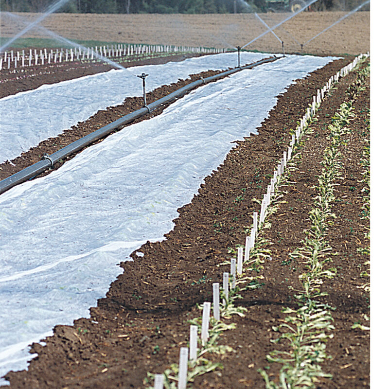 Agribon+ AG-19 &ndash; 83" x 250' Agribon