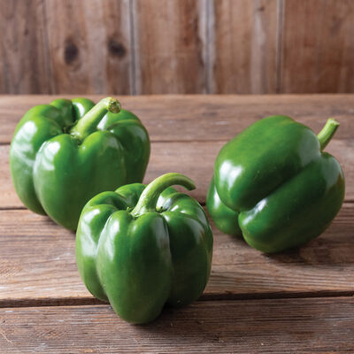 Nitro Sweet Bell Peppers