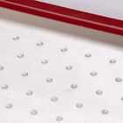 Seed Plate G264 Vacuum