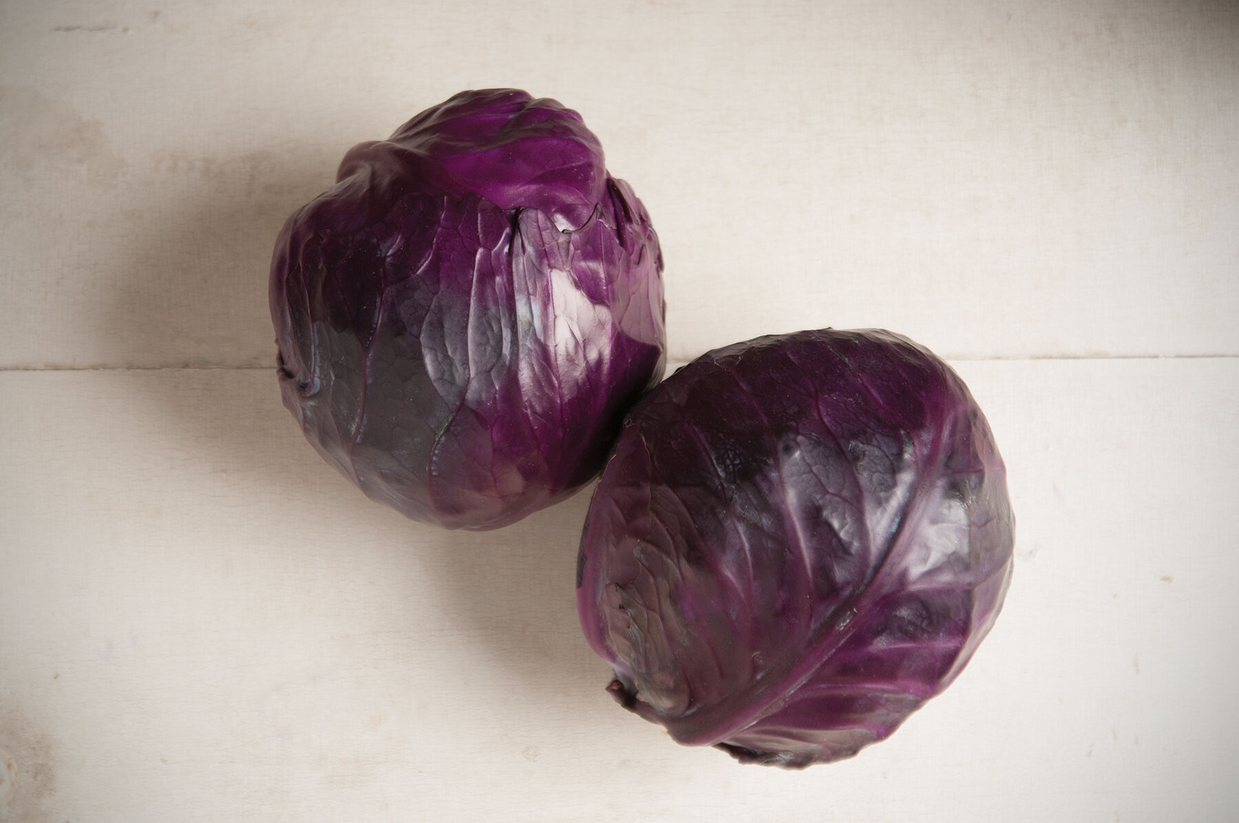 Integro Cabbage