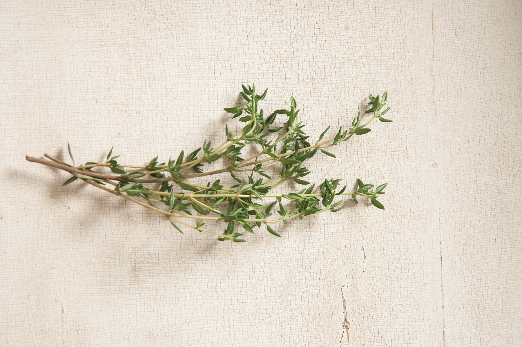 Summer Thyme