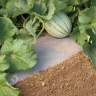 WeedGuardPlus&reg; Paper Mulch &ndash; 48" x 250' Biodegradable & Compostable Mulch