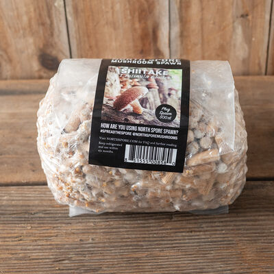 Shiitake Plug Spawn &ndash; 500 Count Plug Spawn