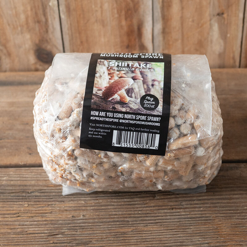 Shiitake Plug Spawn &ndash; 500 Count Plug Spawn