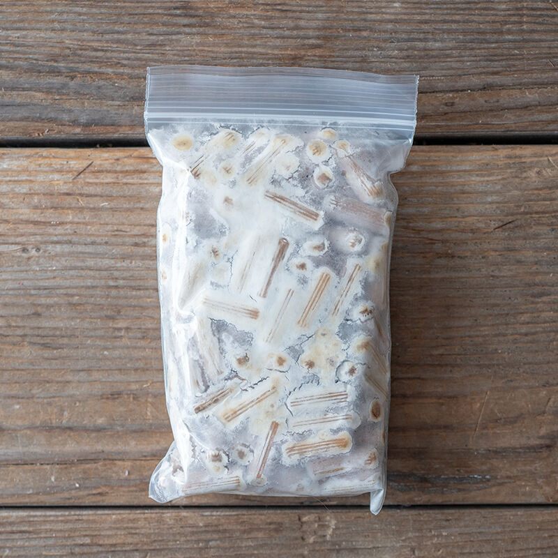 Lion's Mane Plug Spawn &ndash; 100 Count Plug Spawn
