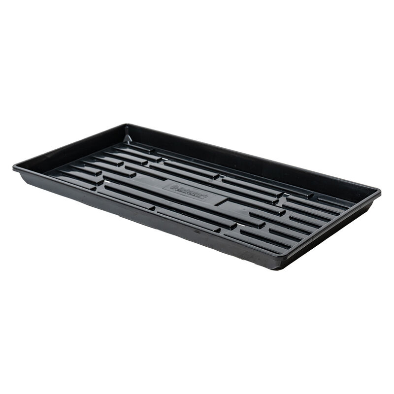 Polypro Shallow Tray (With Holes), Black &ndash; 4 Count Support Trays