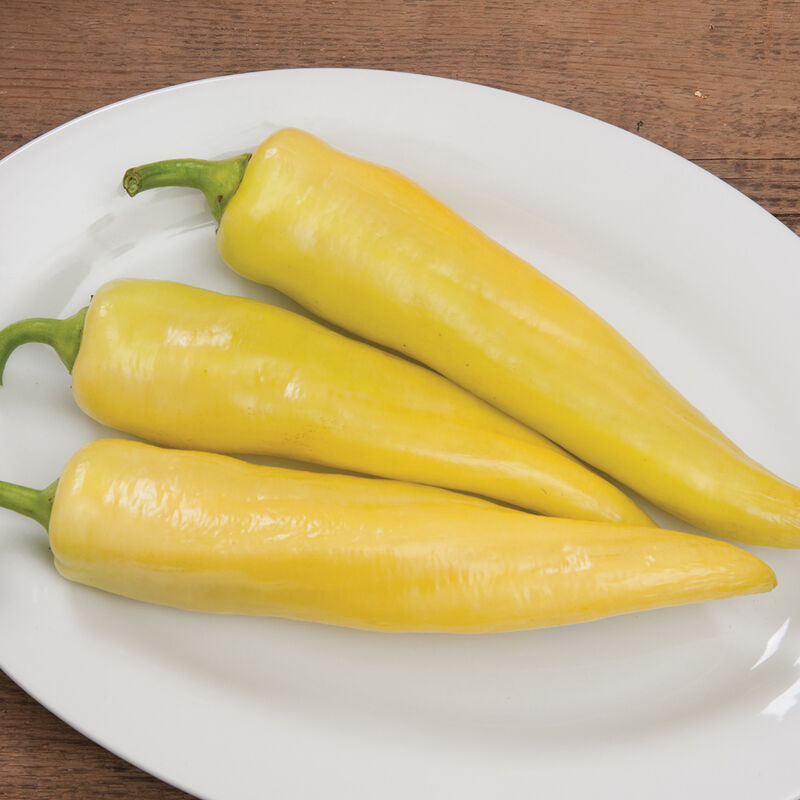 Goddess Sweet Peppers