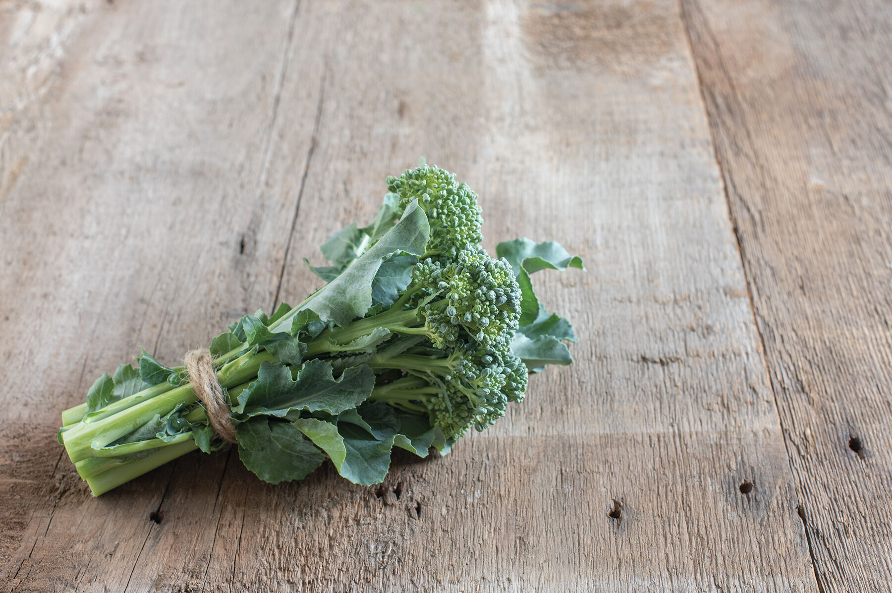 De Cicco Mini Broccoli
