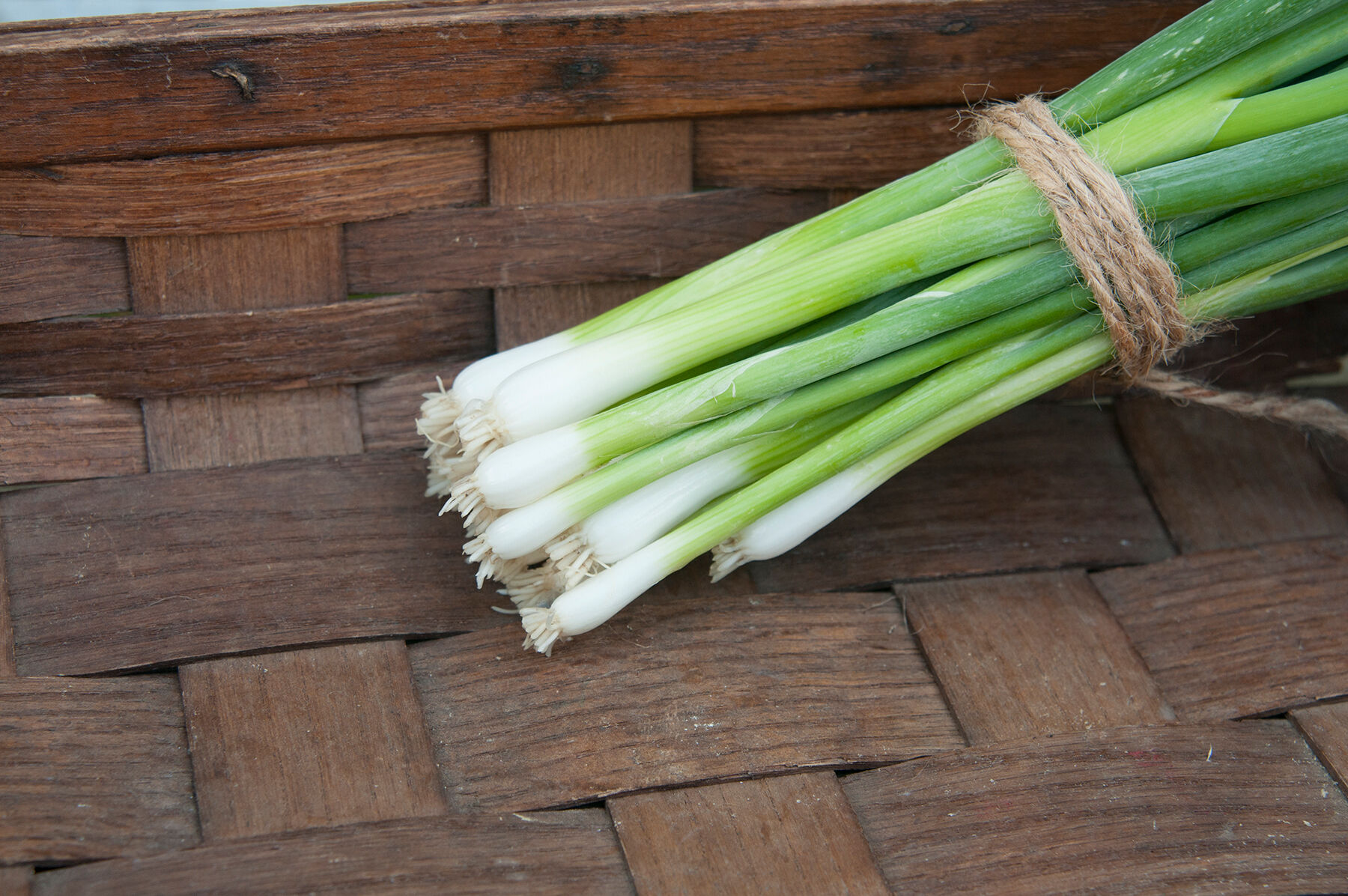 Parade Bunching Onions