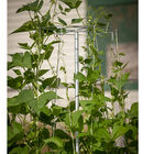 Bean Tower &ndash; 60" Cages & Fences