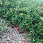 Ornex Bird Netting &ndash; 13' x 820' Crop Protection