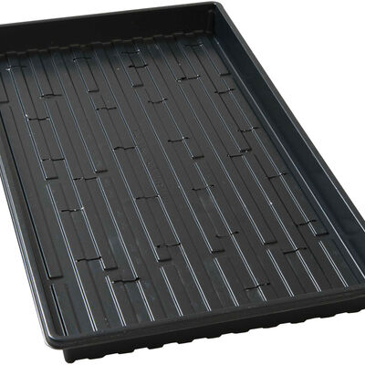 Lightweight Shallow Trays (with Holes) &ndash; 5 Count Support Trays