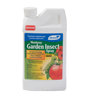 Monterey Garden Insect Spray &ndash; 1 Qt. Insecticides