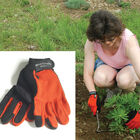 Women's Brick &ndash; L Gloves