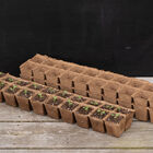 20 Cell Fertil Pots Strip &ndash; 87 Count Biodegradable Pots