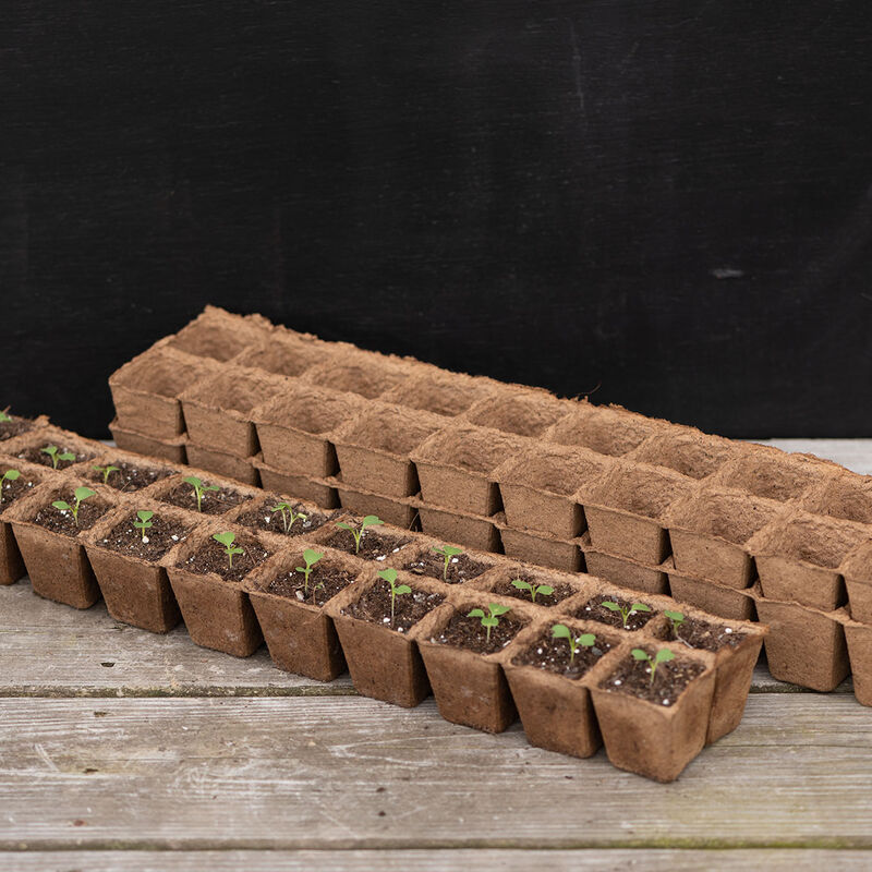 20 Cell Fertil Pots Strip &ndash; 87 Count Biodegradable Pots