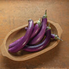 Violet Delite Asian Eggplants