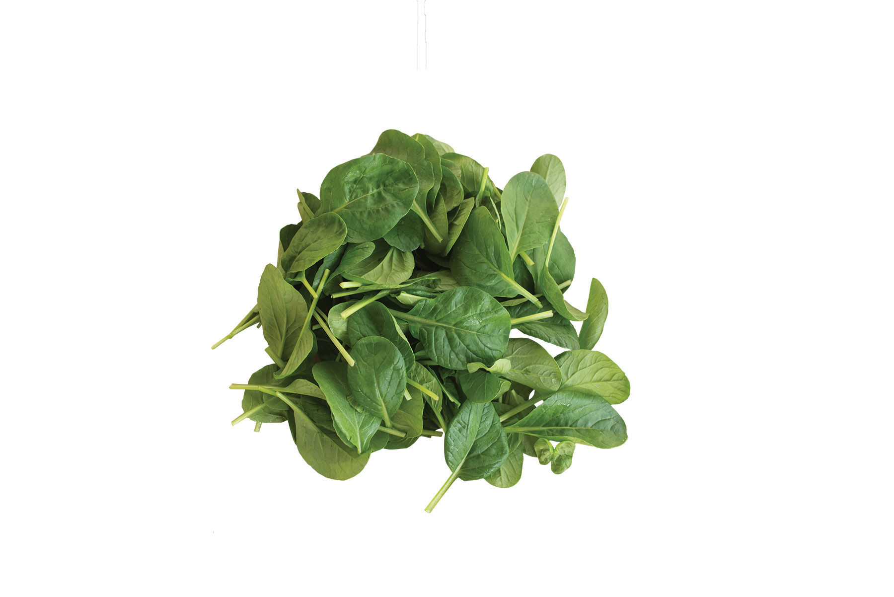 Koji Asian Greens