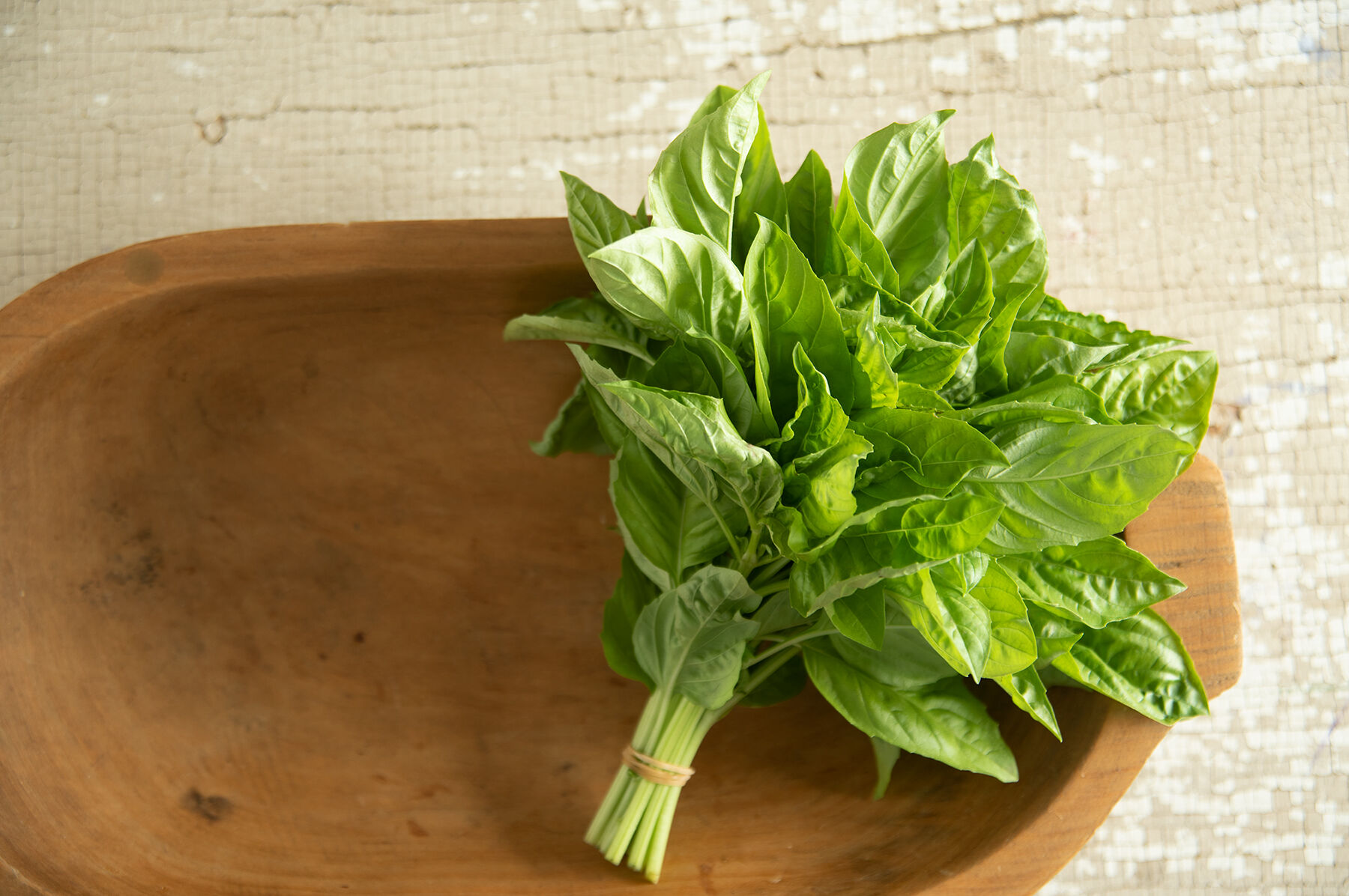 Newton Basil