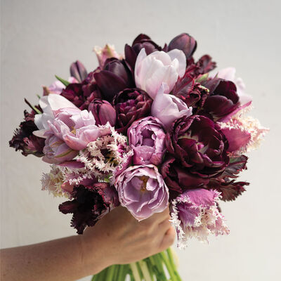 Goth Garden Set Tulips