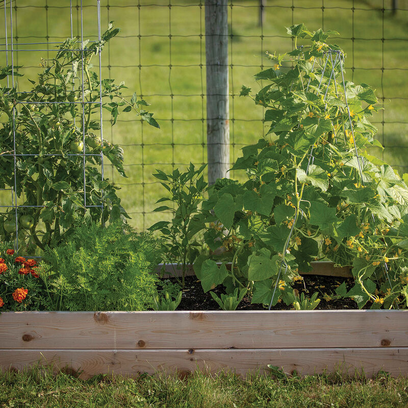 Cedar Raised Garden Bed &ndash; 3' x 6' Raised Beds & Planters