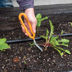 Nifty Weeder &ndash; N504 Weeders and Cultivators