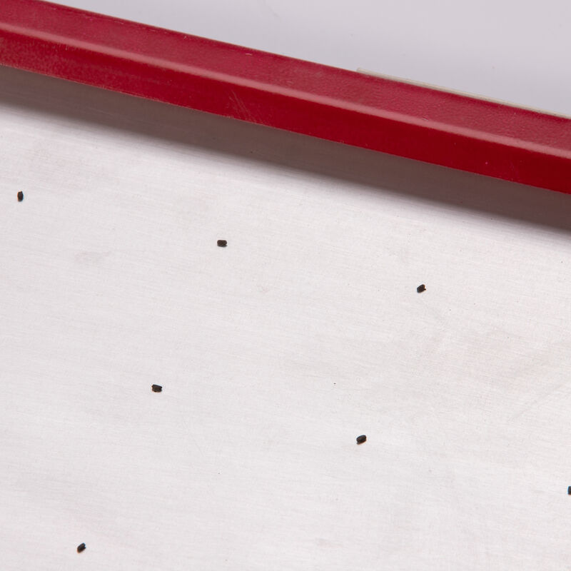 Seed Plate B288 Seed Starting Supplies