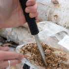Wine Cap Sawdust Spawn Sawdust Spawn