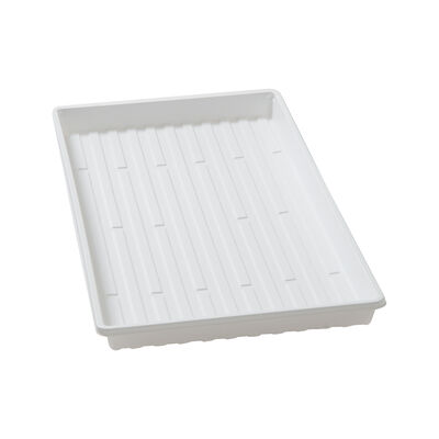 Lightweight Shallow Trays &ndash; 36 Count Support Trays