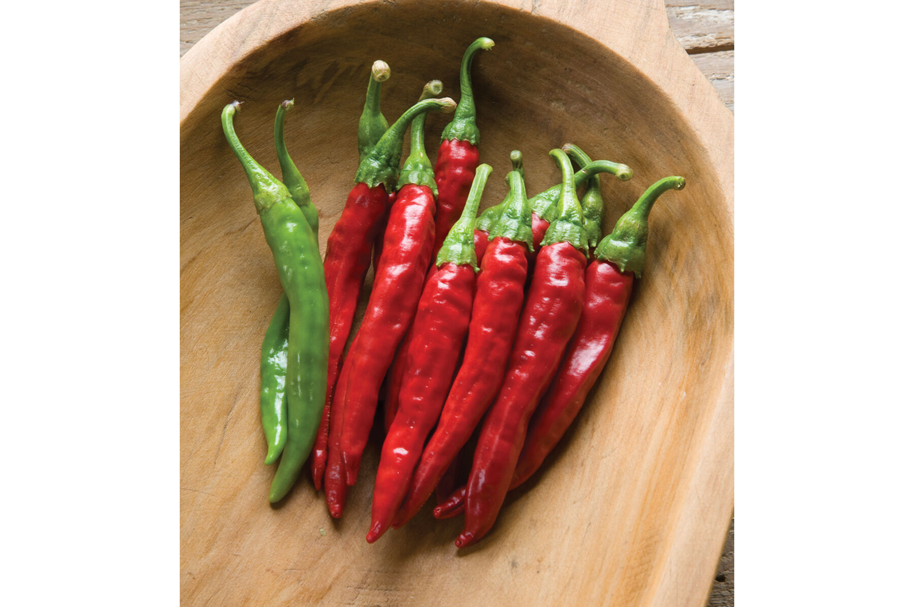 Red Rocket Hot Peppers