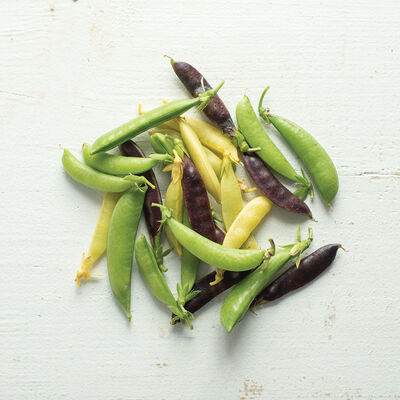 Calvin's Snap Peas Sets
