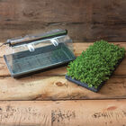 Mini Greenhouse Kit Seed Starter Kits