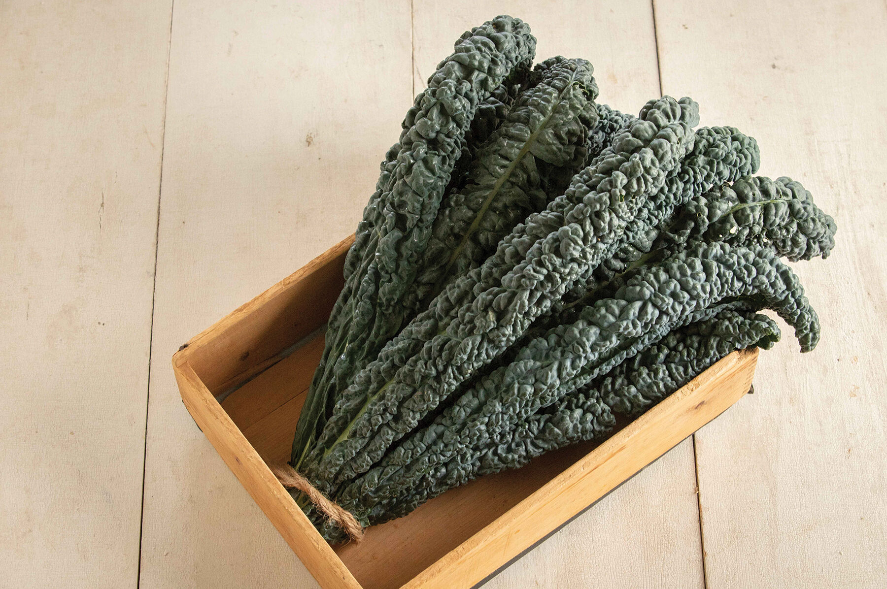 Black Magic Kale