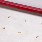 Seed Plate E288 Seed Starting Supplies